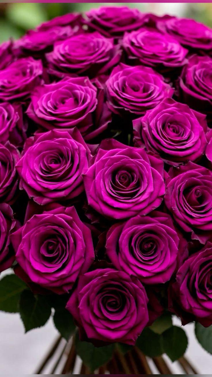 Celestial Dance of Vibrant Blossoms