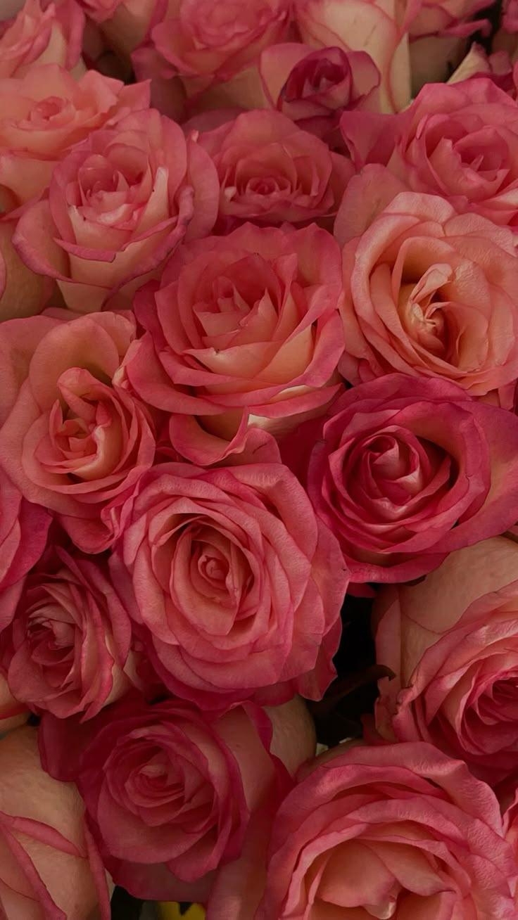 Harmony of Nature's Elegance Cluster